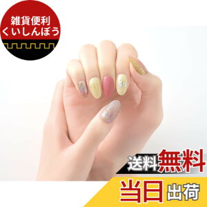 �y���������zBEAUTYAVENUE�i�r���[�e�B�[�A�x�j���[�j���C�g���v��Ȃ� �W�F���l�C���V�[�� �n���h�p 24pcs �F�F���u�u���X�S�[���f�B�[�A�T�C�Y�F24�� (x 1)