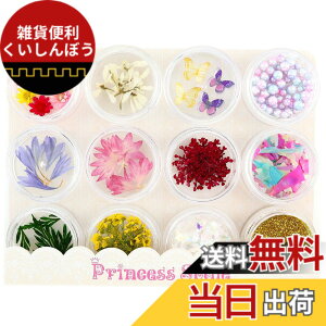 �y���������zPrincess-style ���W���p�[�c �h���C�t�����[ ���[�t�H���r�A���� �l�C�� ���W�� ������ �ޗ� 12��ރZ�b�g �F�F�s���N �p�X�e��