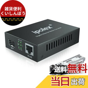 �y���������zipolex ����� ���f�B�A�R���o�[�^�[ �f���v���b�N�X�}���`���[�h SFP���W���[���t���i850nm/550m�j10/100/1000Base-Tx ���� 1000Base-SX �M�K�r�b�g �t�@�C�o�[ ���f�B�A�R���o�[�^�[