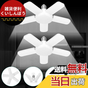 �y���������zJornarshar �~�j LED���C�g �K���[�W���C�g 60W 2�� ���� ������ LED�d�� 6500K �V��Ɩ� ��t�ȒP �H���s�v �p�x���߉\ �J�[�|�[�g �Ԍ� �q�� �[�� ��Ɠ� �����F