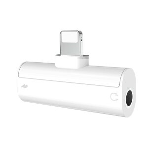 �y���������z�yMFI�F�؁zTOMPOL iPhone �C���z���ϊ� lightning �C���z���W���b�N iPad �C���z�� �ϊ� 2IN1 HIFI�`�b�v �[�d ���y 3.5MM ���C�g�j���O iPhone14/13/SE/12/11/XS MAX/XS/X/8/8plus/7/7plus�K�p IOS16�Ή�