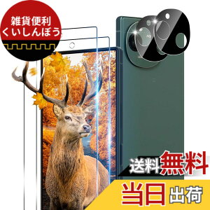 �y���������z�y2+2���Z�b�g �w��F�ؑΉ��z �p AQUOS R9 �K���X�t�B���� 2�� AQUOS R9 SH-51E �t�B���� + 2�� �J�����ی�t�B�����Z�b �y ���{���Ɏq�� 9H���x �z �Ή� �A�N�I�X R9 �����K���X �S�� ��