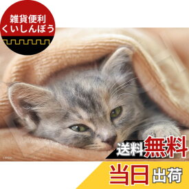 【送料無料】エポック社 108ピース ジグソーパズル いきもの/ペット ねこ おきませんので (18.2x25.7cm) 03-090 のり付き ヘラ付き 点数券付き EPOCH