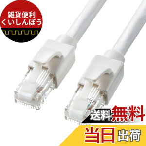 �y���������z�T�����T�v���C CAT6A LAN�P�[�u�� (10m) 10Gbps/500MHz RJ45 �c���܂�h�~ �z���C�g KB-T6ATS-10W