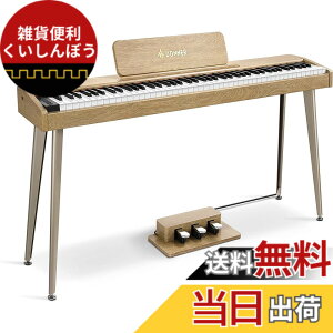 �y���������zDonner �d�q�s�A�m 88���� �ł񂵂҂��� �x���V�e�B�Z���V�e�B�u���� �^�b�` MIDI 3�{�y�_�� �X�^���h �A�_�v�^�[�t �����݂�������ؐ� ���S�� �R���p�N�g ���{������� �I�[�N�� 