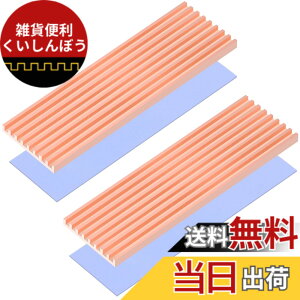 �y���������zRaonlla ���� M.2 SSD �q�[�g�V���N �����M���\ 2280 M2 SSD �q�[�g�V���N �T�[�}���p�b�h�t�� (2������)