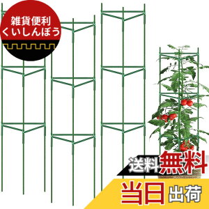 �y���������zsiawadeky �A���x�� �g�}�g�x�� �鐫�A�� �ϗt�A�� �����U�� ���R�ɑg�ݍ��킹�� �K�[�f�j���O�p�x�� �I�x���Z�b�g ���|�x�� �A���T�|�[�g ���イ��I ��ؒI �󒆍͔| �K�[�f