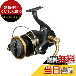 �y���������z�_�C��(DAIWA) �X�s�j���O���[�� 23BG SW 18000