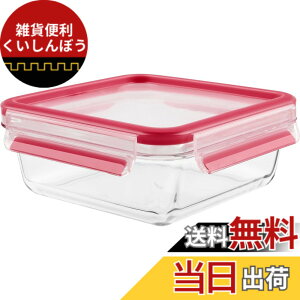 �y���������z�e�B�t�@�[�� �ۑ��e�� �����` 800mL ���� �p�b�L����̍\�� �ϔM�K���X �u�}�X�^�[�V�[�� �O���X �X�N�G�A�v �I�[�u������ 30�N N10414