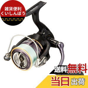 �y���������z�_�C��(DAIWA) �X�s�j���O���[��(���t��) 16 ���[�K�� 3000H PE�c�L(2016���f��)