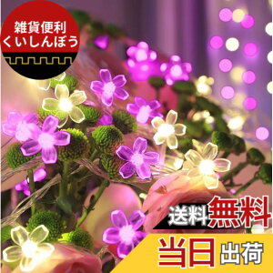 �y���������zSITEDAN �� �X�g�����O���C�g �\�[���[ �C���~�l�[�V�������C�g �� 7M50�d�� 2�g���v100�� �s���N���E�H�[���z���C�g LED ���O �t�����[ �K�[�f�����C�g 8���[�h �h�� �N���X�}�X���C