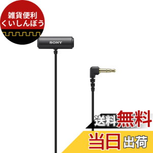 �y���������zSONY(�\�j�[) �J�����p�}�C�N ���x���A�}�C�N���z�� ECM-LV1