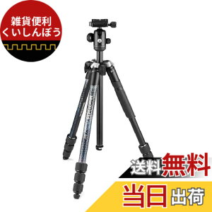 �y���������zManfrotto Element MII �A���~�O�r 4�i �� 180°�܂肽���ݎ� �c�C�X�g���b�N �ő�ω׏d8kg ��჌�t�Ή� MKELMII4BK-BH �L�����[�o�b�O�t��