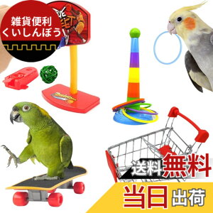 �y���������z[LUKASTR] �C���R �������� �I�E�� �y�b�g�p�i �o�[�h�g�C ���̂������� �m��ߋ� �Z�L�Z�C�C���R �I�J���C���R 4�_�Z�b�g