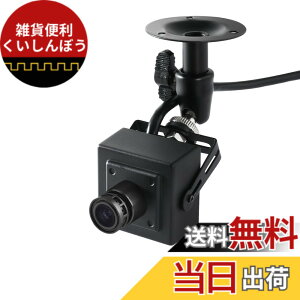 �y���������zREVODATA 5MP POE �~�j IP �J�����A360 �x�����\�}�E���g�AUltraHD �������^�Z�L�����e�B �J���� 3.6mm �����Y (75° FOV)�A���[�V�������o�AH.265/H.264�A�X�}�[�g�t�H��/PC �A�v�� (I706ZJ-P-TS)