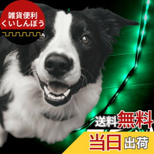 �y���������zTERUI Lights Osaka �� ���郊�[�h LED �[�d�� USB-C ��� �U�� �����[�h ���C�g 1.2m ���� ���[�h ���� �S������ �h�� 16���Ԏg�p ���̓o�b�e���[ �����P�[�u�� ���^�� ���^�� ��^�� ���S