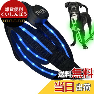 �y���������zTERUI Lights Osaka �� ���郊�[�h LED �[�d�� USB-C ��� �U�� �����[�h ���C�g 1.2m ���� ���[�h ���� �S������ �h�� 16���Ԏg�p ���̓o�b�e���[ �����P�[�u�� ���^�� ���^�� ��^�� ���S