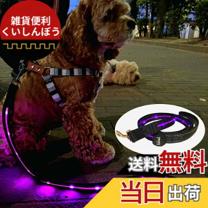 �y���������zTERUI Lights Osaka �� ���郊�[�h LED �[�d�� USB-C ��� �U�� �����[�h ���C�g 1.2m ���� ���[�h ���� �S������ �h�� 16���Ԏg�p ���̓o�b�e���[ �����P�[�u�� ���^�� ���^�� ��^�� ���S