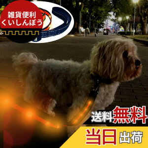 �y���������zTERUI Lights Osaka �� ���郊�[�h LED �[�d�� USB-C ��� �U�� �����[�h ���C�g 1.2m ���� ���[�h ���� �S������ �h�� 16���Ԏg�p ���̓o�b�e���[ �����P�[�u�� ���^�� ���^�� ��^�� ���S