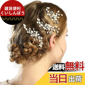 �y���������zAVILMORE �p�[�� �w�A�s�� �w�A�A�N�Z�T���[ �u���C�_�� ������ �E�F�f�B���O �p�[�e�B�[�ԉ� �w�b�h�h���X ������ (�S�[���h��) 3�{�Z�b�g