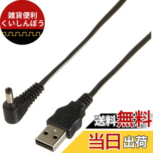 �y���������zPanasonic K2GHYYS00002 �r�f�I�J�����p DC�P�[�u��