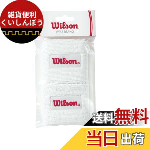 �y���������zWILSON���X�g�o���h�A�z���C�g�B