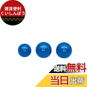�y���������z�g�[�G�C���C�g(TOEI LIGHT) �\�t�g���f�B�V���{�[��2kg H7251
