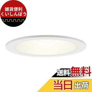�y���������z�p�i�\�j�b�N(Panasonic) LED �_�E�����C�g �V�䖄���^ 60�` 125�a�d���F LSEB5125LE1