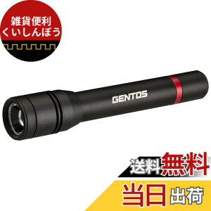�y���������zGENTOS(�W�F���g�X) �����d�� LED���C�g �P3�d�r�� ���� 480���[���� ���N�V�[�h RX-332D �n���f�B���C�g �t���b�V�����C�g