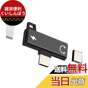 �y���������z�^�C�vc�C���z���W���b�N�ϊ��퓯�����イ�����[�d �A�_�v�^�[(2in1)�Ή�Apple iPhone 15 Pro Max Plus �Ή�iPad Pro Air �Ή�Sony Xperia �Ή�Samsung DAC Type-c Aux �}���[�d �ϊ��@ USB C �h���O�� �I
