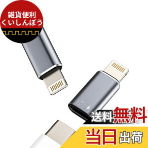 �y���������zOTG�I�[�f�B�I�A�_�v�^�[ Type-C to Lightning�P�[�u�� �C���z�� USB C�W���b�N �[�d�A�N�Z�T���[�i2����jApple �Ή�iPhone 14 13 �Ή�iPad �J�[�h���[�_�[ �L�[�{�[�h �}�E�X