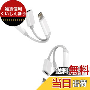 �y���������zLightning to 3.5mm�W���b�N�A�_�v�^�[�i2����jAUX�I�[�f�B�I�[�d�P�[�u�� Apple �Ή�iPhone 14 13 12 11 Pro Max �Ή�iPad Air �ԍڃC���z�� �h���O�����y�ϊ���