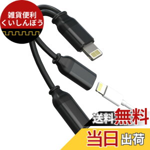 �y���������zLightning�C���z���W���b�N�A�_�v�^�[�i2in1�j�I�[�f�B�I�ϊ��� �}�C�N�t���C���z���[�dAUX�ԍ� Apple �Ή�iPhone 14 13 12 11 Pro Max �Ή�iPad Air Mini�p�h���O��