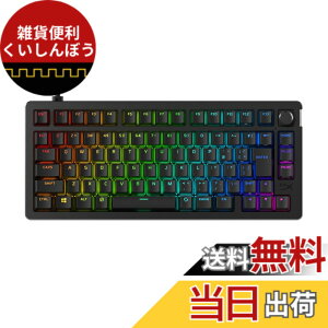 �y���������zHyperX Alloy Rise 75 �Q�[�~���O�L�[�{�[�h ���{��z�� ���J�j�J�� 75% ���j�A�X�C�b�` ���f�B�A�R���g���[���[ �K�X�P�b�g�}�E���g �z�b�g�X���b�v �J�X�^�}�C�Y 7G7A4AA#ABJ