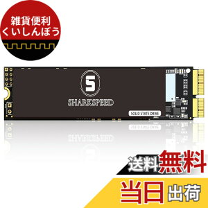 �y���������zS SHARKSPEED SSD 1TB MacBook��p�A�b�v�O���[�h�L�b�g M.2 PCIe NVMe Gen3.0x4 �Ή����f�� MacBook Air A1465 A1466(2013-2015,2017), MacBook Pro A1502 A1398(Retina 2013-2015), iMac A1418 A1419(2013-2017)