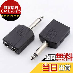 �y���������zSound Wave�y LINK Master 6.35mm �}�C�N �C���z�� �w�b�h �Z�b�g �p ���� ���� ��� �A�_�v�^�[ �z �I�X ���X �}�C�N �P�[�u�� �J�b�v�� �P�[�u�� 2�� �X�e���I�ϊ��v���O ��6.35mm 6.35 2F��M2