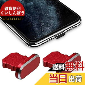 �y���������zWave Design�y ���� ���� �A���~�j�E�� �� �ی�L���b�v For iPhone �h�o �݊��� �z For iPad �h�o �ی� �J�o�[ �݊��� ���C�g�j���O�[�d�� �h�o �R�l�N�^ �_�X�g�v���O 2�� F.Wave �}�C�N