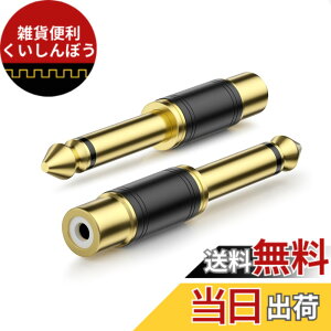�y���������zVANAUX 6.35mm�I�X to RCA���X�ϊ��A�_�v�^�[ 6.35mm���m���� �����b�L�R�l�N�^2�Z�b�g-�u���b�N