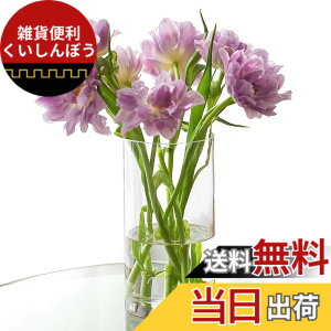 �y���������zWillingYou �ԕr ����Ȃ� ������ �t�����[�x�[�X �y�n�k�΍�E�q��/�y�b�g�Ɉ��S�z �K���X�̂悤�ȓ����� ������� ���k�͔| ��֑}�� ���d ���� �I�t�B�X �C���e���A (10cmx30cm)