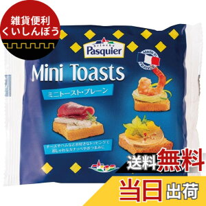 �y���������zbrioche Pasquier(�u���I�b�V���p�X�L�G) �~�j�g�[�X�g�v���[�� 80g(36������)
