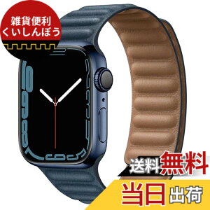 �y���������zHEYOZURY Apple Watch �o���h �ɑΉ� ���U�[ �}�O�l�`�b�N ���C �v �A�b�v���E�H�b�`�o���h 45mm 44mm 41mm 40mm 49mm ���͂Ȏ��C���ɂ�� ���U�[ �����p�X�g���b�v�A�݊���iwatch Series 10 9 8 