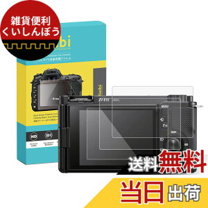 �y���������zRieibi SONY �i3���Z�b�g�jZV1/ZVE10/ZV-1F �t���ی�t�B�����AZV-E10�ی�t�B���� �\�j�[ ZVE10��p�t���v���e�N�^�[ ZV-1F�ی�t�B���� ZV-1�����K���X�t�B���� ����0.25MM �����^�C�v ����