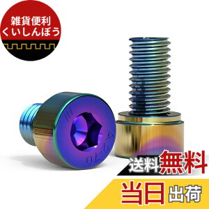 �y���������z4�� �L���b�v�{���g M6x45mm P1.0 �o�C�N�p�i �L���b�v�{���g �Z�p���t���{�^���{���g 304�X�e�����X�� �d�C�߂����F �ėp