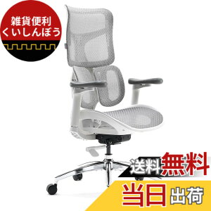 �y���������zSIHOO S100 �I�t�B�X�`�F�A �֎q �f�X�N�`�F�A �G���S�m�~�N�X �`�F�A�u2024���������w������5�i�K�����������K�������o�[�T�|�[�g��4D�A���A�[�����X�g��95-130°���N���C�j���O��