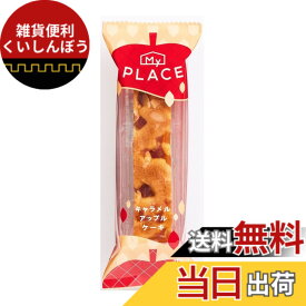【送料無料】中島大祥堂 マイプレイス キャラメルアップルケーキ 1本x6袋