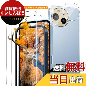 �y���������z�y2+2���Z�b�g �w��F�ؑΉ��z �K�C�h�g�t�� �p AQUOS sense 9 �K���X�t�B���� 2�� + 2�� �J�����ی�t�B���� �y ���{���Ɏq�� 9H���x �z �Ή� �A�N�I�X�Z���X9 �����K���X�t�B���� �P