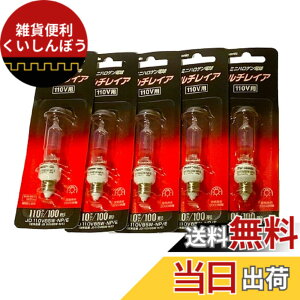�y���������z�p�i�\�j�b�N(Panasonic) JD110V 85W�ENP/E 5����