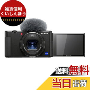 �y���������zkinokoo �t���ی�t�B���� SONY �f�W�^���J���� ZV1/ZVE10/ZV1 Mark II/ZV1-F�p �d�x9H �����ߗ� �ώw�� �C�A���� �����K���X ����0.25mm 2���Z�b�g(ZV-1/ZV-E10/ZV-1M2/ZV1 F��p)