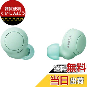 �y���������z�\�j�[(SONY) ���S���C�����X�C���z�� WF-C500 : /�y�ʏ��^5.4g/�����x�ʘb�i��/�ȒP�y�A�����O/IPX4�h�H���\/�A�C�X�O���[�� WF-C500 GZ