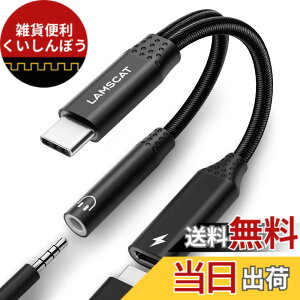 �y���������zLAMSCAT 2in1 �^�C�vC �C���z���ϊ��A�_�v�^ PD60W �}���[�d ���� Type-C �C���z���W���b�N ��҃C���z���P�[�u�� �[�d���Ȃ��� �ʘb ���ʒ��� �|�[�^�u�� for iPad pro Google Pixel Xperia Samsun